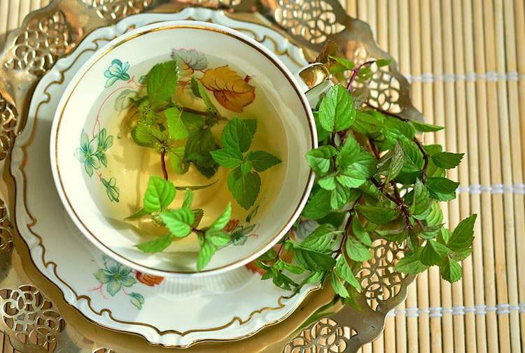 mięta ciekawostki herbata miętowa