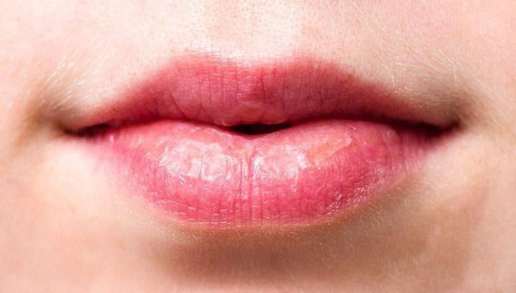 usta ciekawostki o ustach całowanie pocałunek ślina