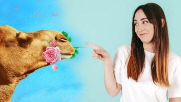 prezenty pomysł na prezent śmieszne prezenty