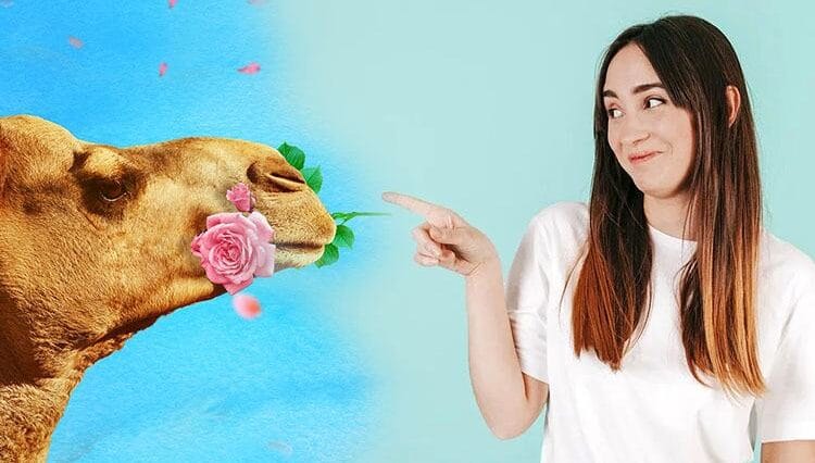 prezenty pomysł na prezent śmieszne prezenty