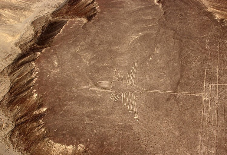Nazca koliber Peru ciekawostki rysunki