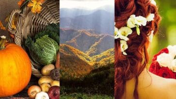 październik jesień wesele ślub