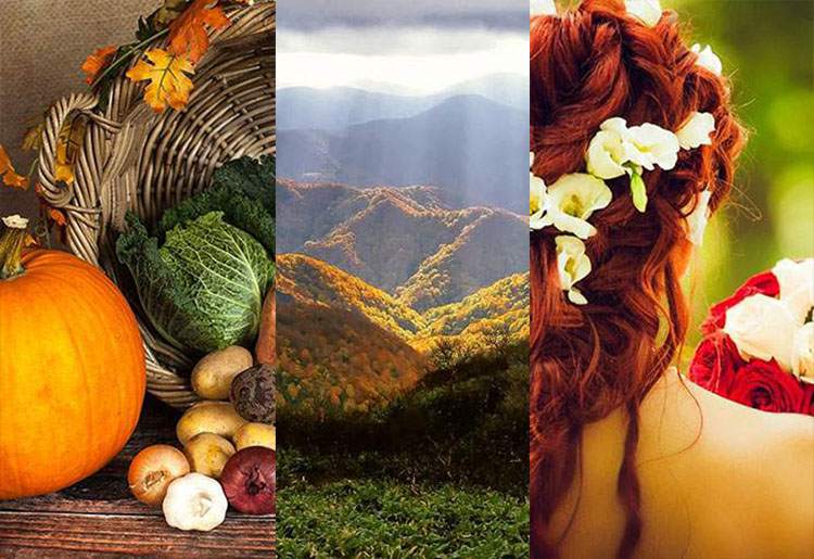 październik jesień wesele ślub