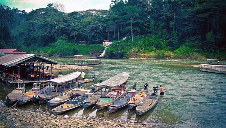 Taman Negara Malezja podroże
