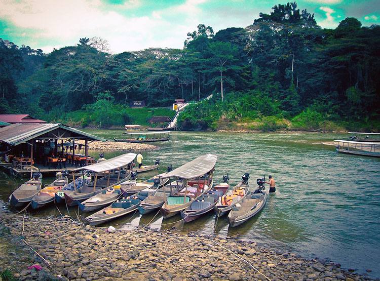 Taman Negara Malezja podroże