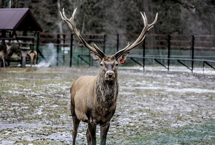 Białowieża jesienny weekend podróże wyjazdy