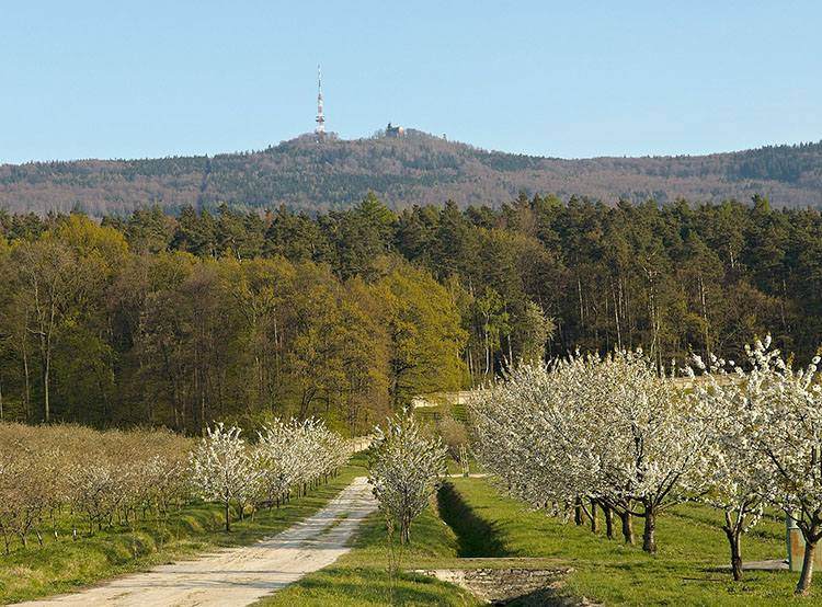 góra Ślęża ciekawostki Sudety