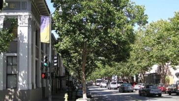 Palo Alto ciekawostki Kalifornia Dolina Krzemowa