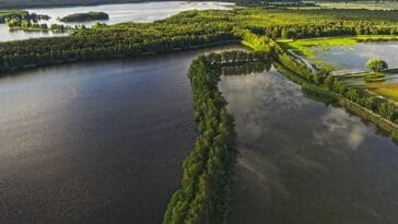 Stawy Milickie Dolina Baryczy atrakcje ciekawostki