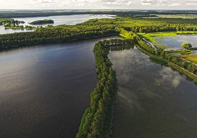 Stawy Milickie Dolina Baryczy atrakcje ciekawostki