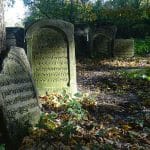 kirkut cmentarz żydowski w Szczebrzeszynie woj. lubelskie