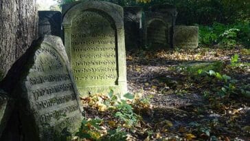 kirkut cmentarz żydowski w Szczebrzeszynie woj. lubelskie