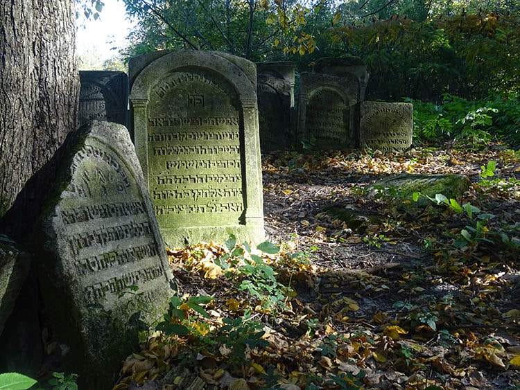 kirkut cmentarz żydowski w Szczebrzeszynie woj. lubelskie