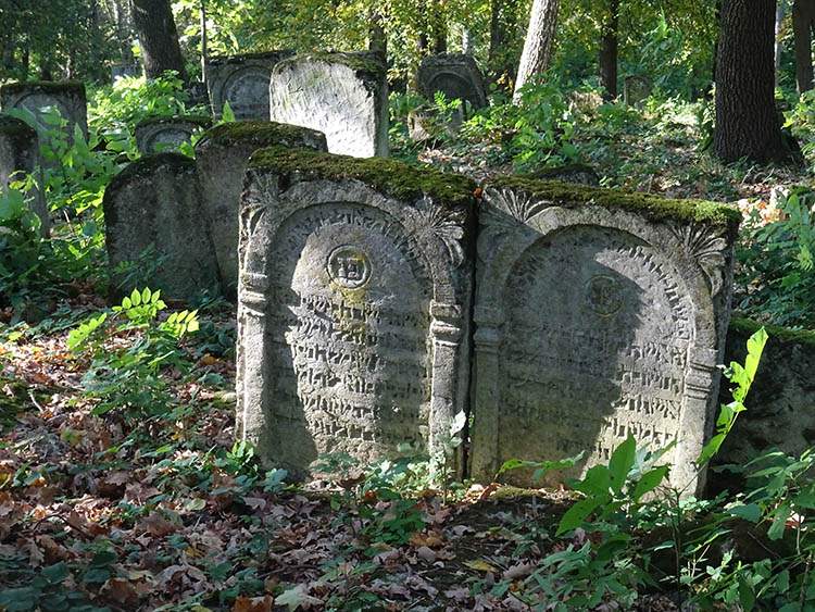 macewy nagrobki na cmentarzu żydowskim kirkut w Szczebrzeszynie
