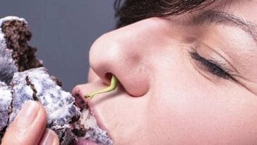 prawdziwe krótkie nieznane ciekawostki niesamowite fakty ze świata