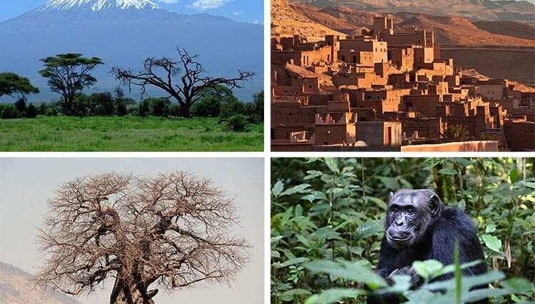 państwa Afryka ciekawostki o Państwach Afryki informacje o Afryce