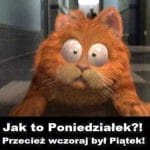 śmieszne memy dowcipy na poniedziałek humor dowcipne obrazki żarty