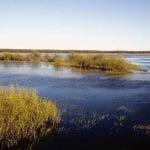 Biebrzański Park Narodowy rzeka Biebrza