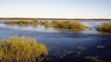Biebrzański Park Narodowy rzeka Biebrza