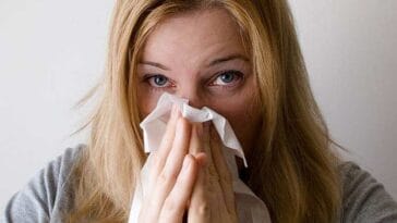 historia chusteczki do nosa ciekawostki