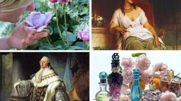 zmysł węchu ciekawostki zapach perfumy