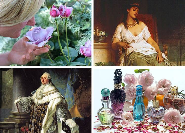 zmysł węchu ciekawostki zapach perfumy