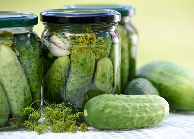 historia kiszenia ogórków ogórki kiszone ciekawostki kiszenie ogórek