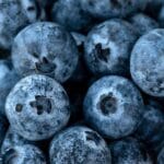 jagody ciekawostki o jagodach owoce leśne zbieranie jagód