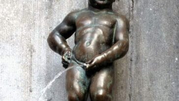 mocz ciekawostki o moczu sikanie