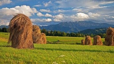 Podhale Tatry atrakcje Podhala góry lato