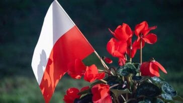 Polska flaga ciekawostki barwy narodowe