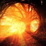 ciekawostki przyrodnicze