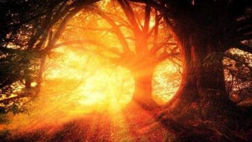 ciekawostki przyrodnicze