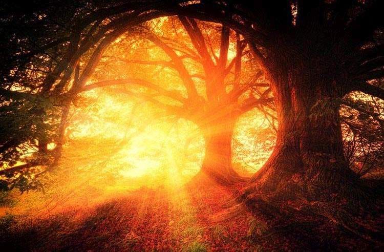 ciekawostki przyrodnicze