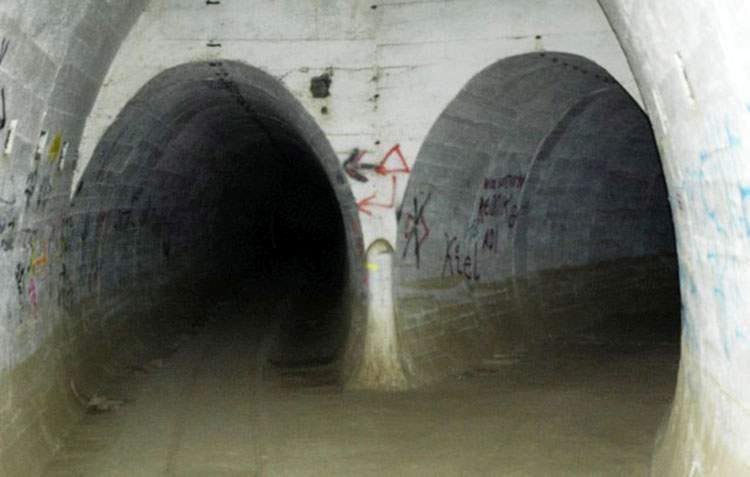 Pętla Boryszyńska trasa rowerowa lubuskie