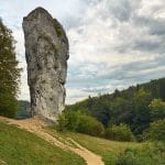 Maczuga Herkulesa ciekawostki Sołuszowa małopolskie drzewa