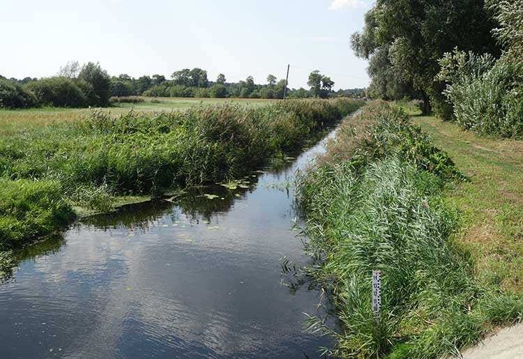rzeka Gąsawka obok ruin zamku w Szubinie